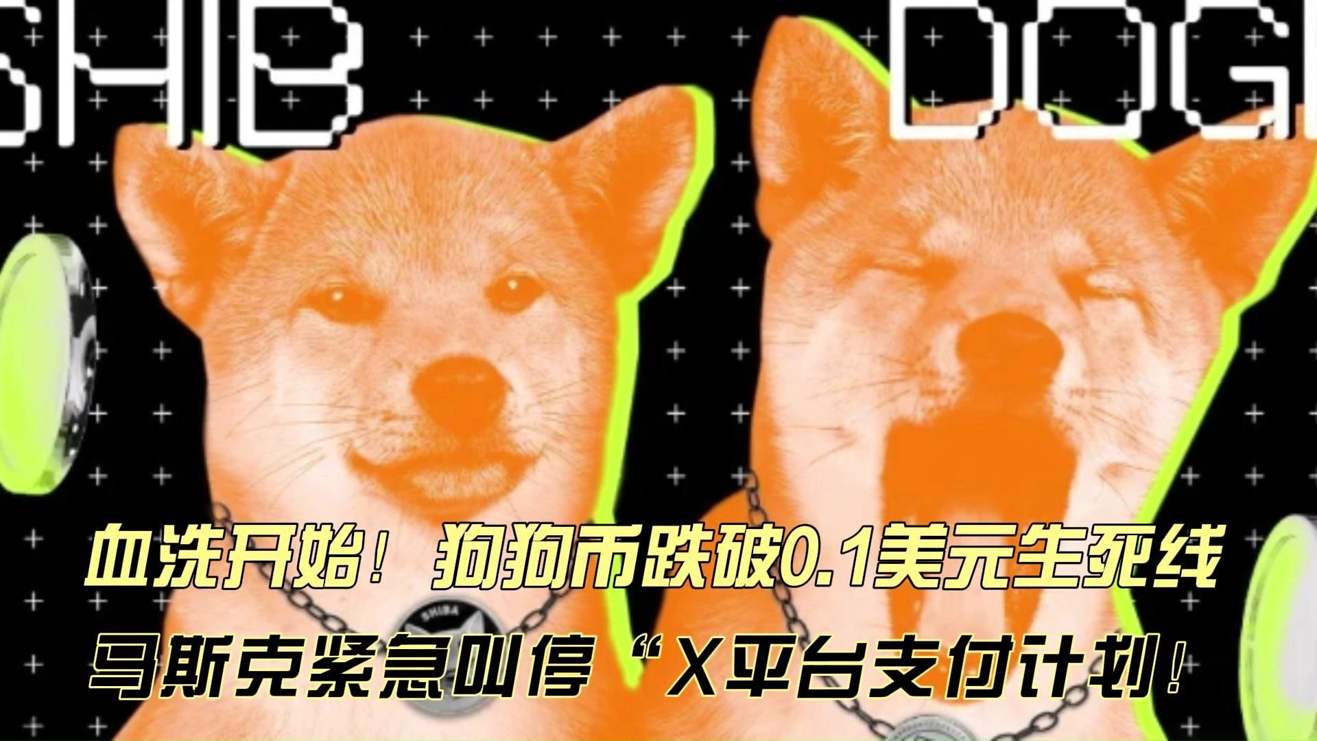 关于专家称狗狗币将在年底冲破483美元，引发引发关注的信息