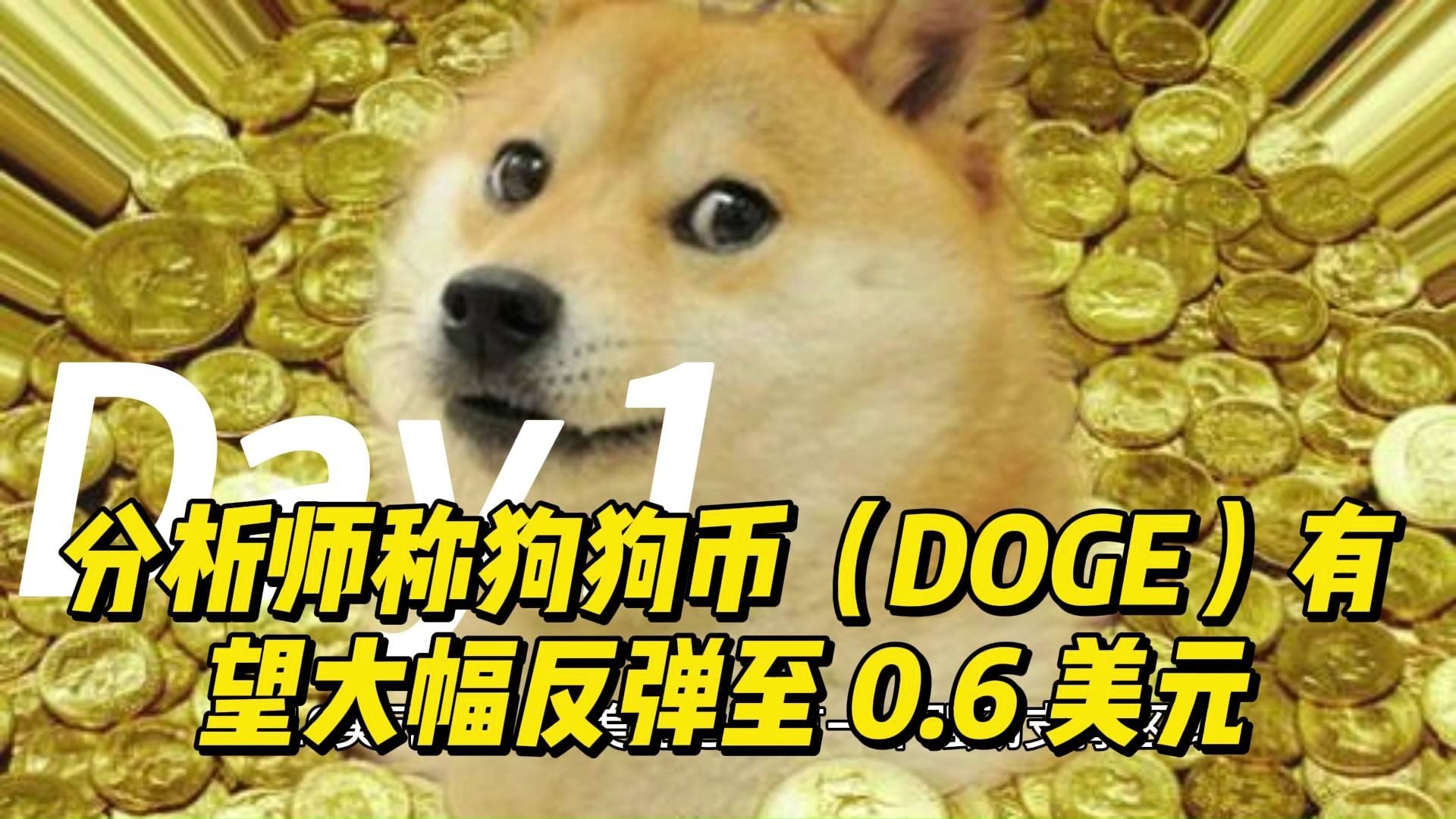 爱游戏体育-狗狗币诈骗事件被揭露，已有超18.53人被骗！